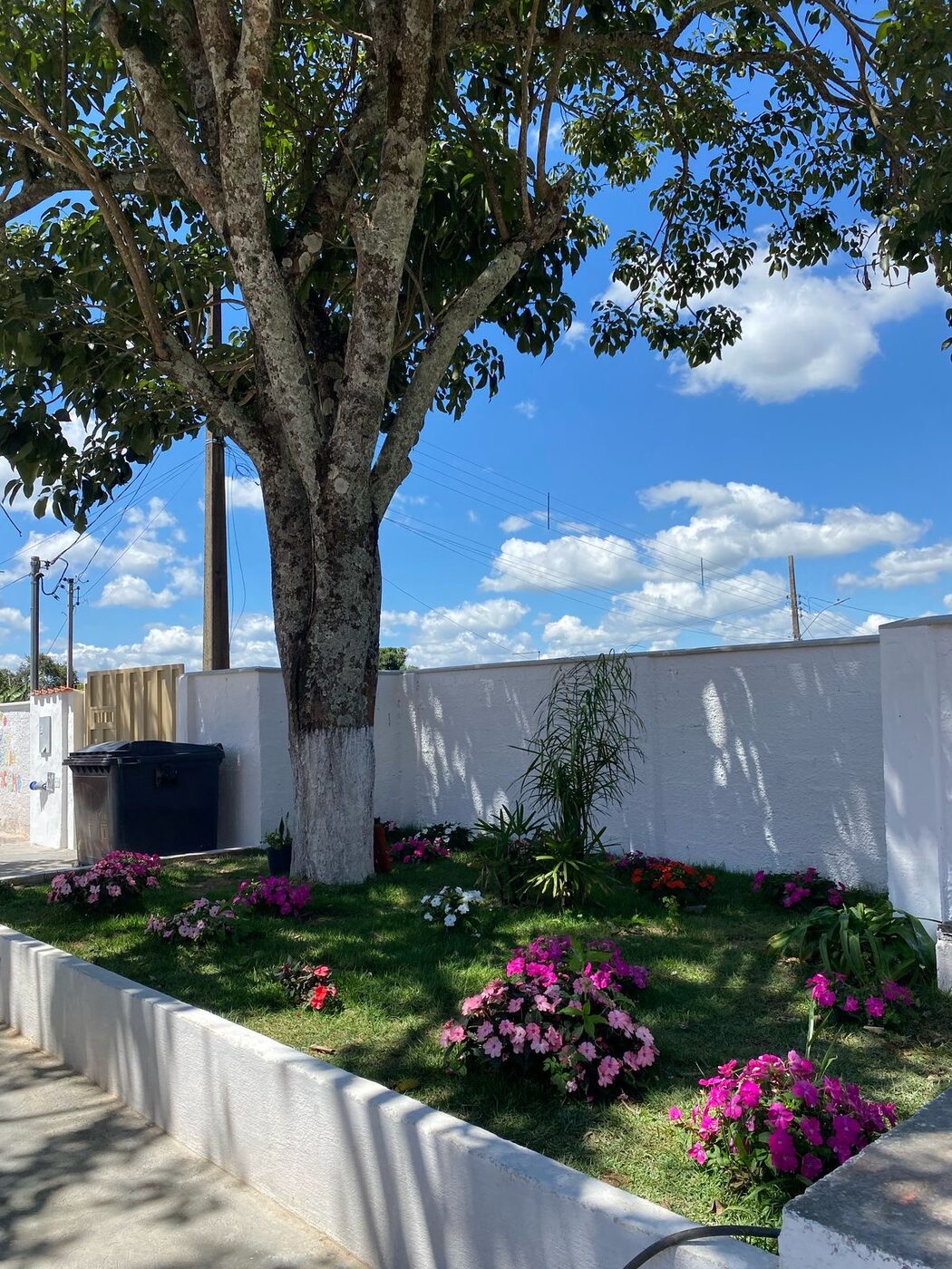 Paisagismo executado na área externa da escola